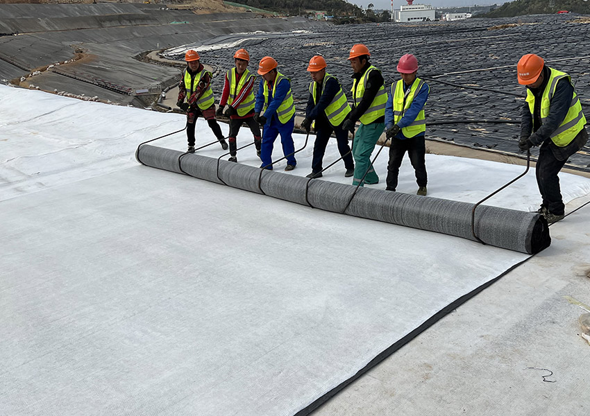 1678083082545714.jpg fq8.jpg